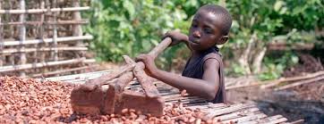 Slavery in Cocoa Ranches in Africa